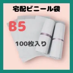 Item thumbnail for item a053f45d-78b4-4d74-9050-981a57a509e6