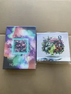 Mrs.GREEN APPLE「5」/SONO初回限定盤&3