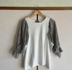 Item thumbnail for item d06bdbe6-ac01-4e93-b865-a1e44716f0c2