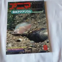 アニマ　１９７８年８月号