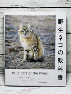 野生ネコの教科書 - メルカリ