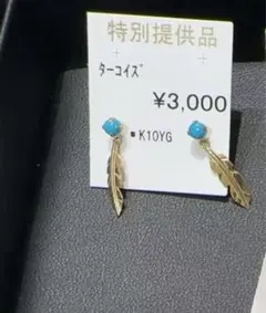 2025年最新】ツツミ ピアス ターコイズの人気アイテム - メルカリ