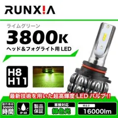 特上美品 ☆カスタムアップ☆ Briteye 2個入 冷却ファン内蔵 LED D3