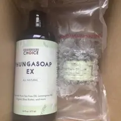 Item thumbnail for item 5f849c28-7fee-4ba0-b17a-831f39b70552