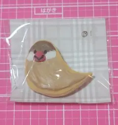 文鳥アイシングクッキー マグネット　【B１】