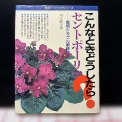 セントポーリア　こんなときどうしたら？　川上敏子