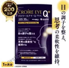 新品未開封 6袋　クロワールアイ　Q　プラス　おまけ付き♪ 2025年最新】クロワールアイ・qの人気アイテム - メルカリ