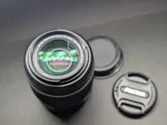 Item thumbnail for item d2f992a8-4869-495b-9def-1e26297d0531