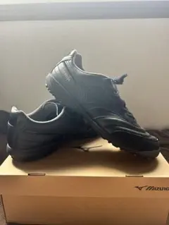 Mizuno Morelia