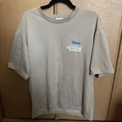 HOLLISTER / ベージュ Tシャツ
