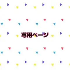 専用ページ