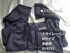 Item thumbnail for item 6286225a-a262-4ae0-bd0d-3662796c6869