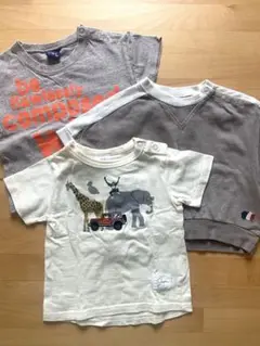 まとめ売り　Tシャツ　80 春夏　テータテート　SKAPE