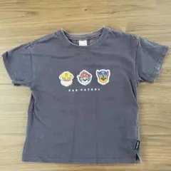 petit main PAW PATROL Tシャツ