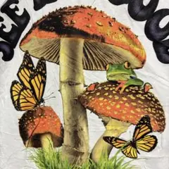 I3 アートTシャツ SEE THE GOOD キノコ 蝶 カエル 白 アメカジ