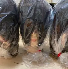 Item thumbnail for item 2da0338e-d857-45a2-a7de-5cb2611d3411