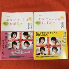 小説あなたのことはそれほど 上　下　２冊
