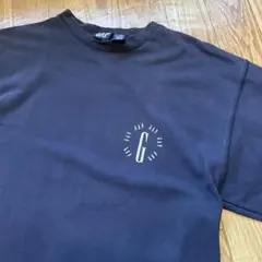 90s GAP ギャップ プリント 鹿の子 Tシャツ Lサイズ