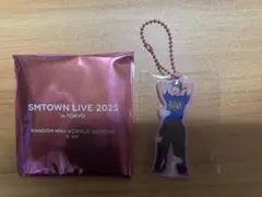 SMTOWN LIVE 2025 アクキー　RIIZE ソヒ