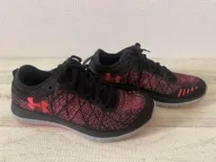 Item thumbnail for item cddcdd3c-85d7-4494-8958-9500c10c50b3