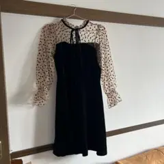 Item thumbnail for item 531d4548-5b24-4d9e-b85e-decca06c516c