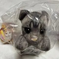 たっちいZoo ミニぬいぐるみ 第2弾　ぬいぐるみキーホルダー
