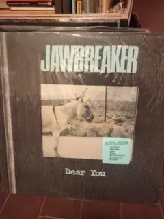 Jawbreaker Dear You 限定版 レコード