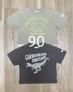 ベビーキッズ　恐竜Tシャツ　2枚セット　90