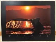 Item thumbnail for item 0b8ad7f7-3fba-4ed1-86ef-461d35514eb9