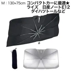 Item thumbnail for item e8bf9045-835c-4a22-acc3-e3ce0f3c2489