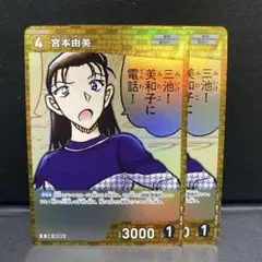 名探偵コナン 交錯する刃 宮本由美R2枚組