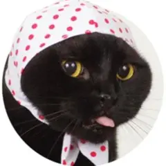 【ねこのかぶりもの】グッズ