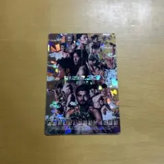 RIZIN ポテトスティック ポスターカードコレクション