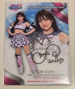 Item thumbnail for item e03e0ef9-d200-453f-ba85-ee508f2f1abb