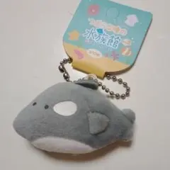 つぶらな瞳の水族館ぷちマスコット