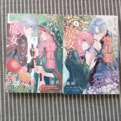 どうも、好きな人に惚れ薬を依頼された魔女です。 = I'm a witch w…