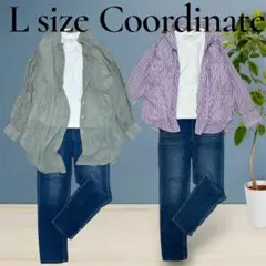 Item thumbnail for item 06816f3c-1aeb-4028-8787-f885ed390ca0