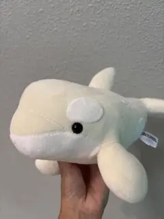 名古屋港水族館限定!非売品 シャチぬいぐるみ　白