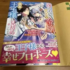 冴えない加護持ち令嬢、孤高の王子様に見初められる～美貌の妹に言いなりの家族を捨て