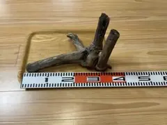 Item thumbnail for item c5ac1ced-7e01-47fb-95a1-8403160b48e4