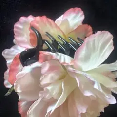 Item thumbnail for item 9cb59929-35b0-4e32-9165-7be6877cdbb6