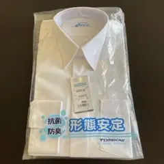 Item thumbnail for item 6f938cbd-108b-47c9-abf7-310ea6eacc99