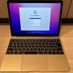 MacBook (Retina, 12-inch, Early 2016)