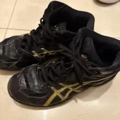 asics アシックス GELHOOP ゲルフープ V3 TBF675