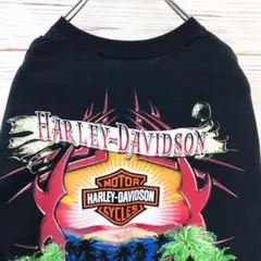 《USA製》ハーレーダビッドソン☆Tシャツ M デカロゴ ブラック