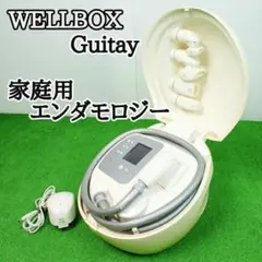 wellbox 家庭用エンダモロジー動作確認済み、ジャンク扱い