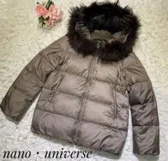 Nishikawa Down×nano universe ダウンラクーンファー