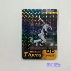 25年 虎タウンカード ★4 前川右京