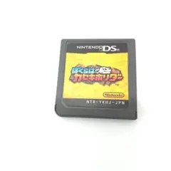 若《CUZLV》NINTENDO　DS　ぼくらはカセキホリダー