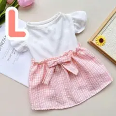 Item thumbnail for item f95ceaac-fe6a-4cbe-8cda-e734640f6a25
